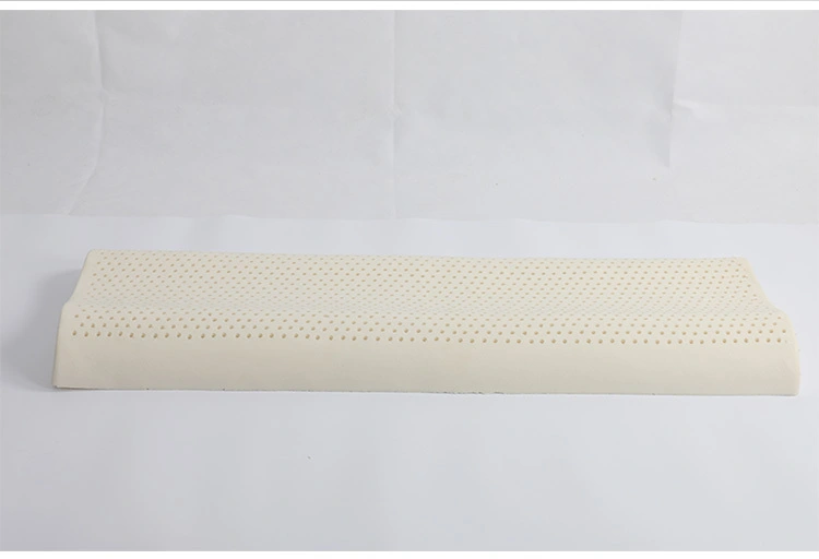 Large Size Double latex Pillow